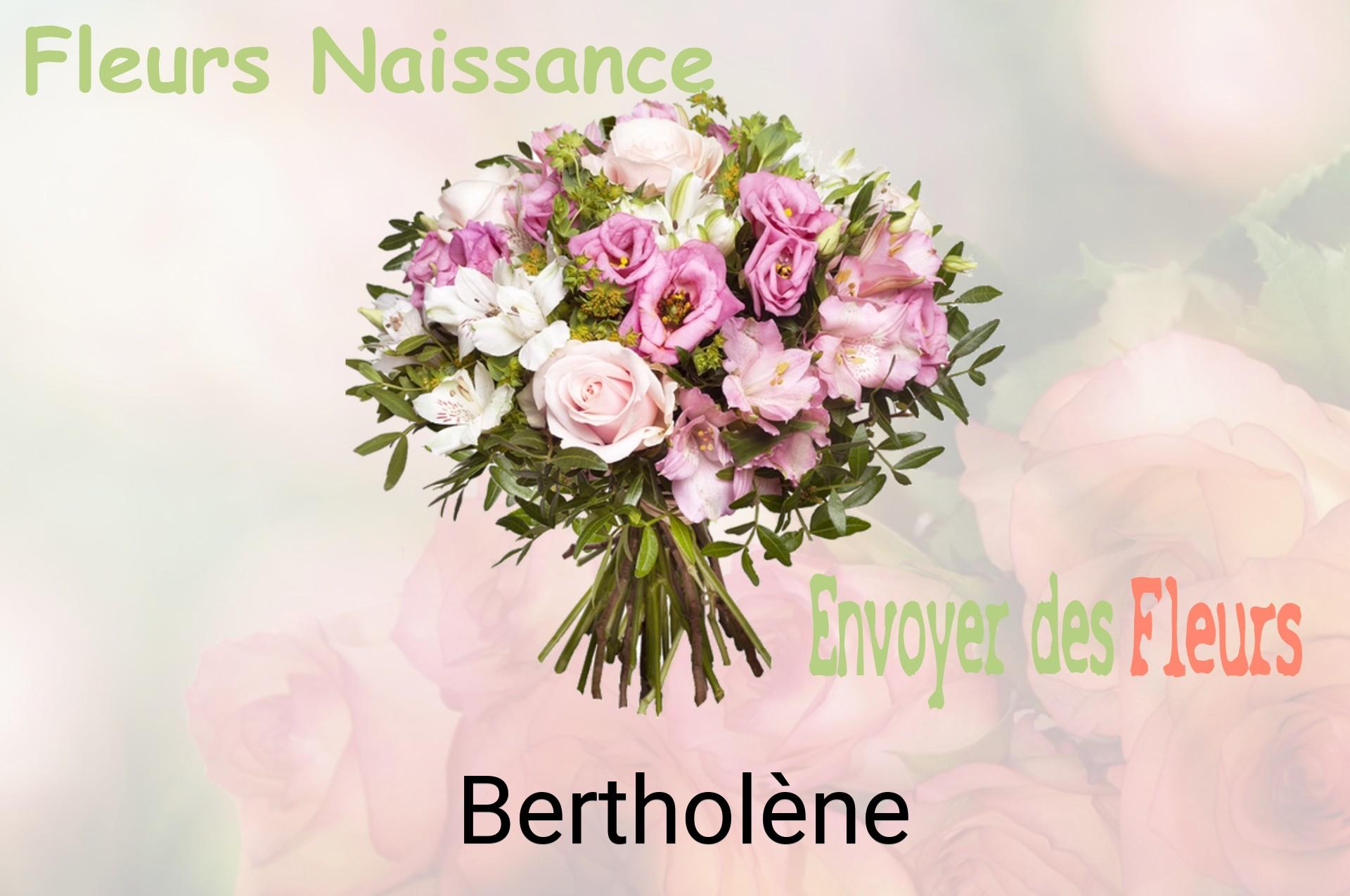 Bouquet de fleurs de naissance livré à Bertholène